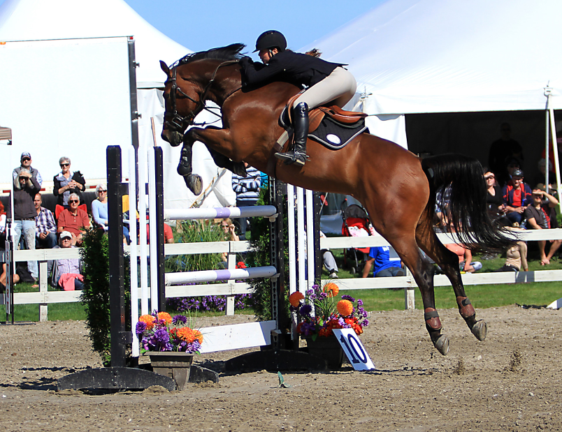 Nouveaux sommets pour le Concours hippique de Lévis