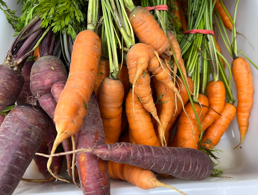 Investissement dans l’alimentation québécoise