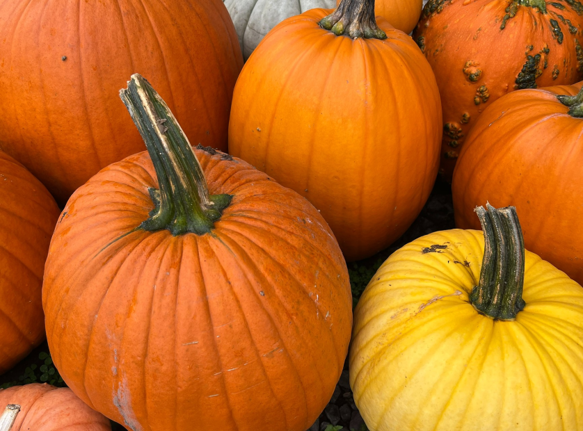 Nos choix de sorties pour la fin de semaine du 28 octobre