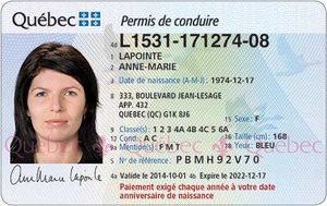 Le permis de conduire ne coûtera pas cher