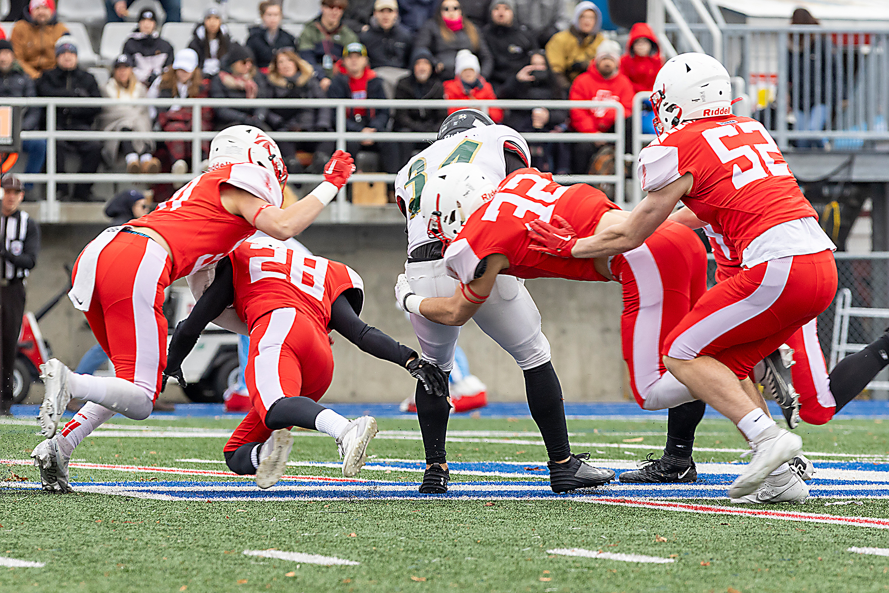 Les Faucons  s’inclinent en finale