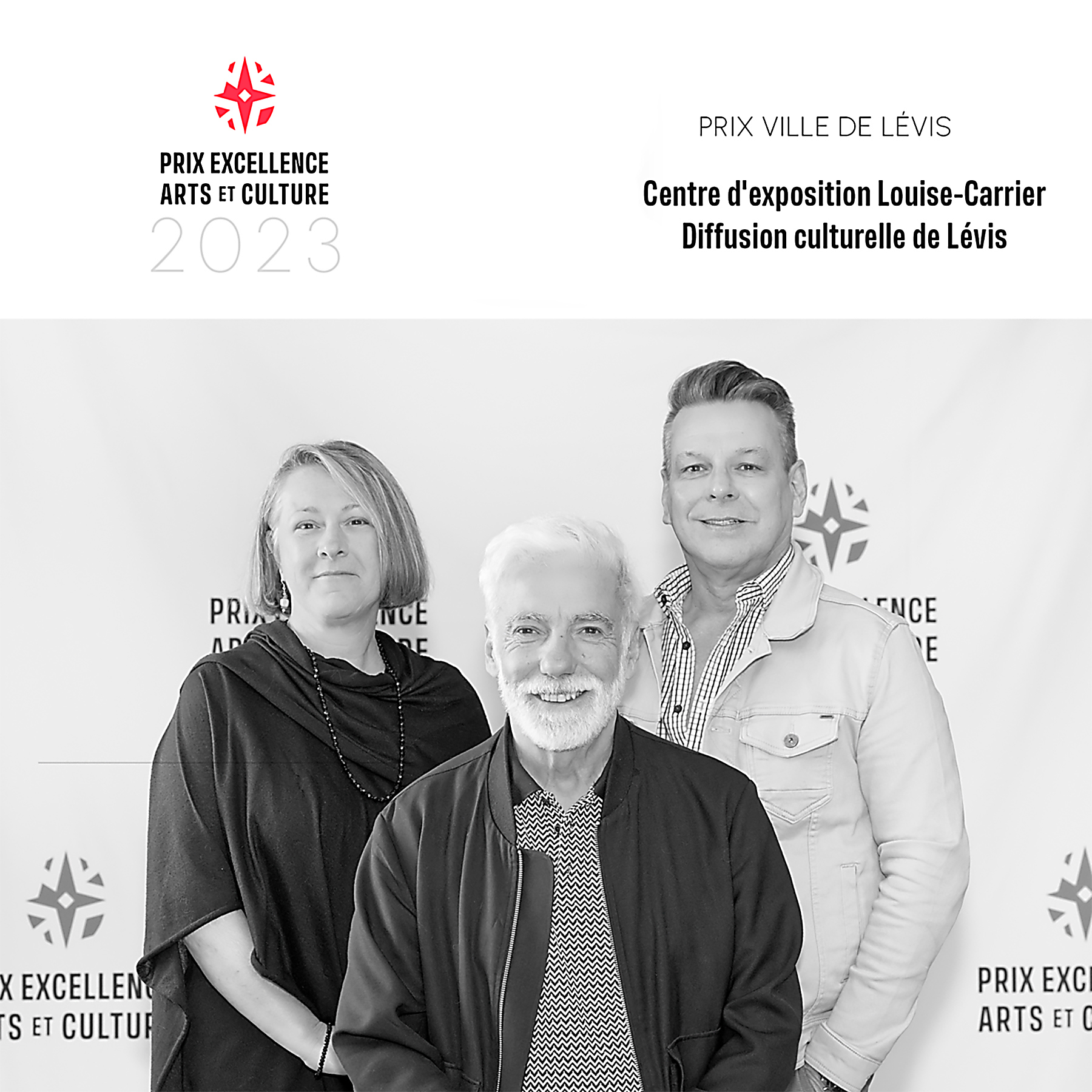 Des récipiendaires lévisiens au Prix d’excellence