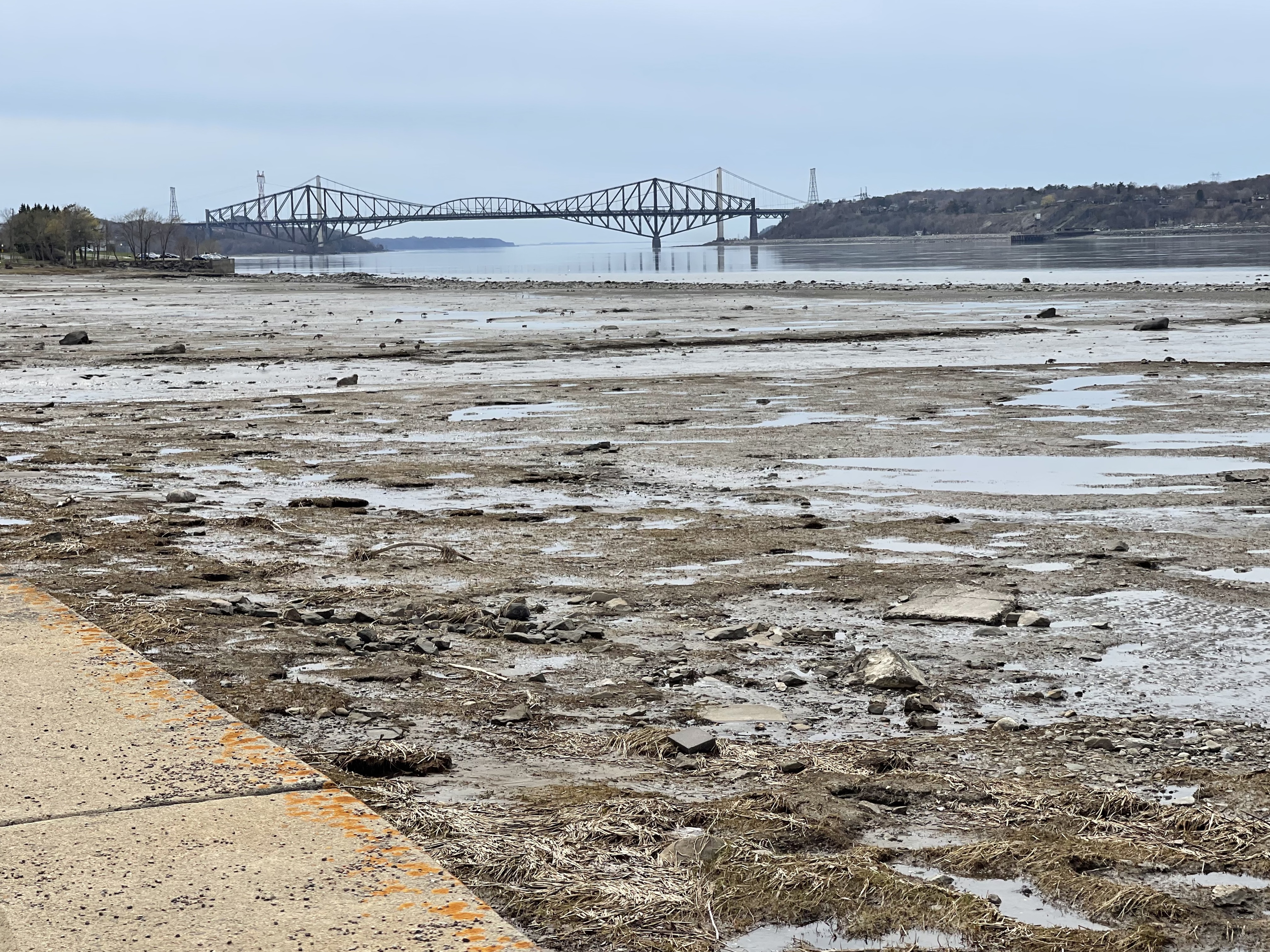 Nouvelle fermeture du pont de Québec