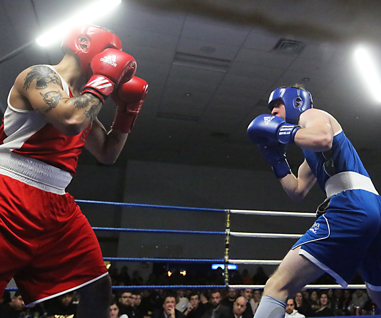 Québec Open : un rendez-vous majeur de boxe de retour