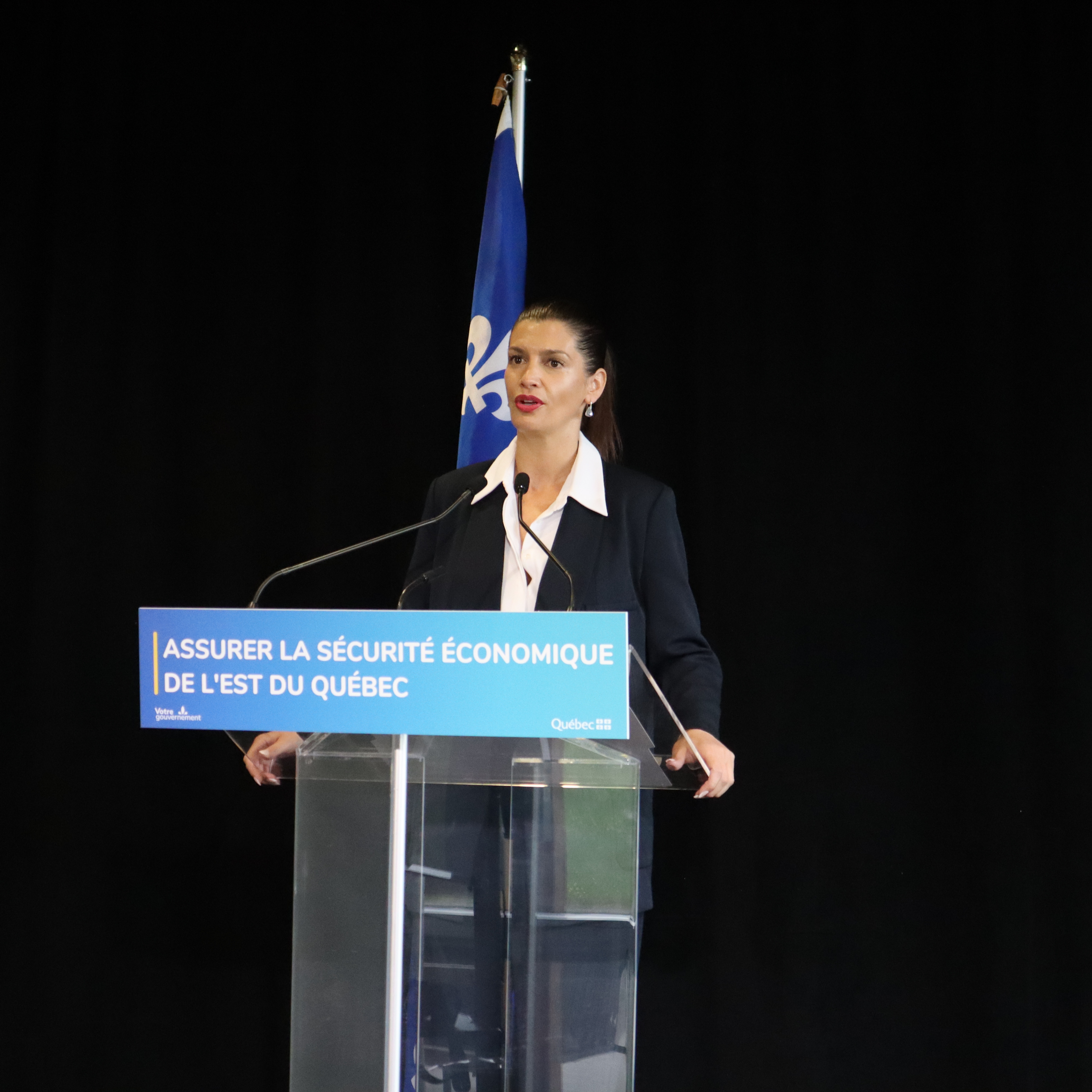 Troisième lien : un tracé central retenu