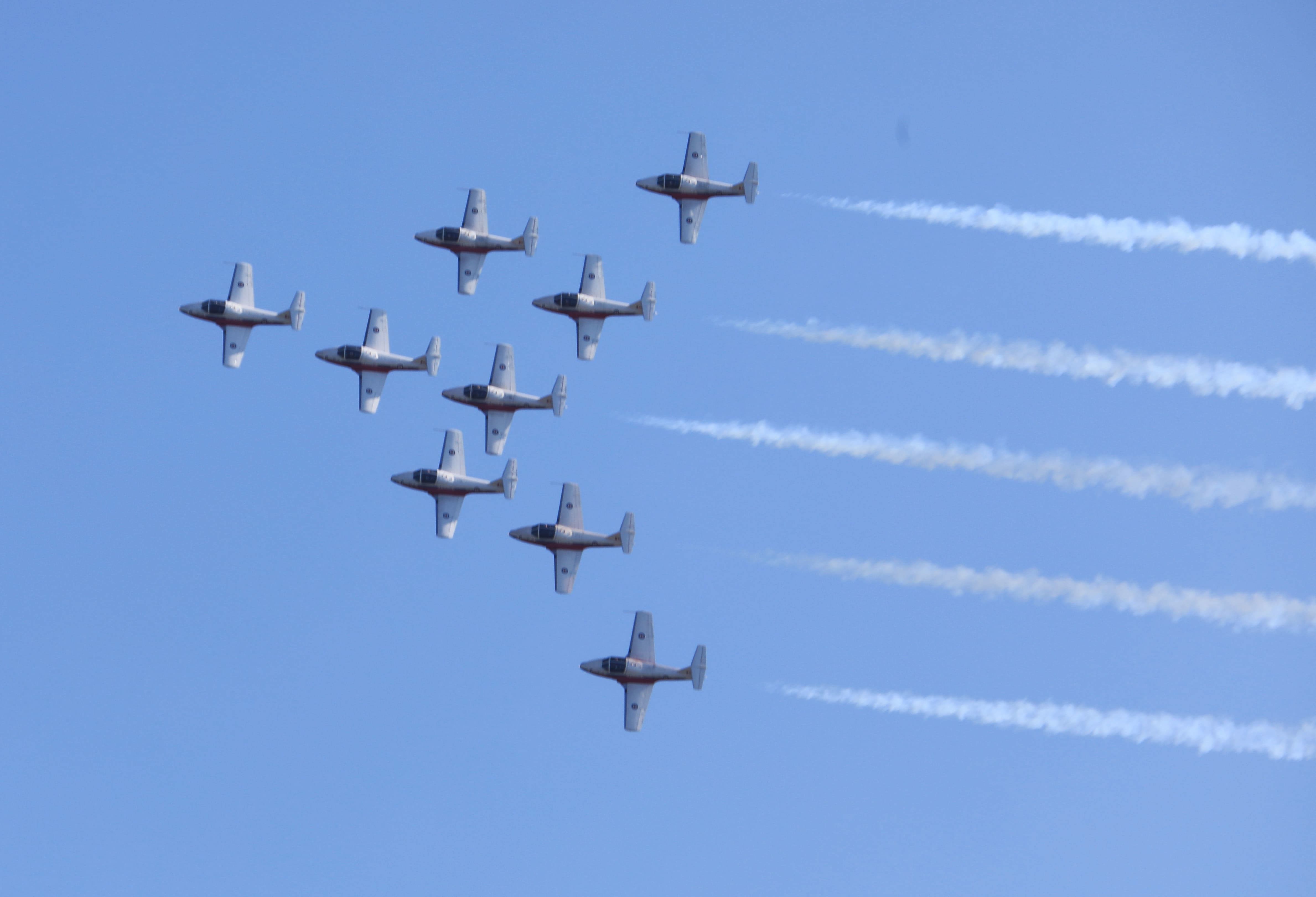 Un spectacle aérien des Snowbirds au-dessus du fleuve