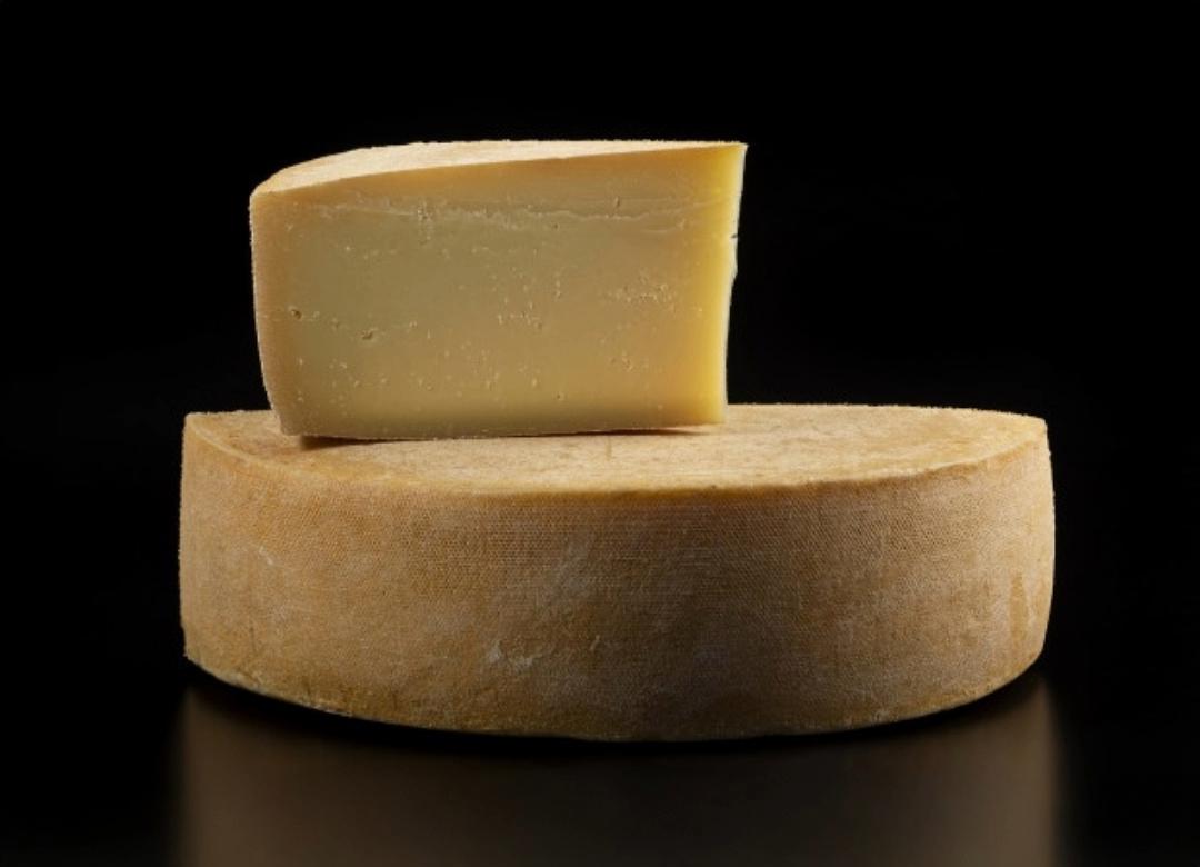 Quatre fromages lévisiens et bellechassois finalistes de la Sélection Caseus