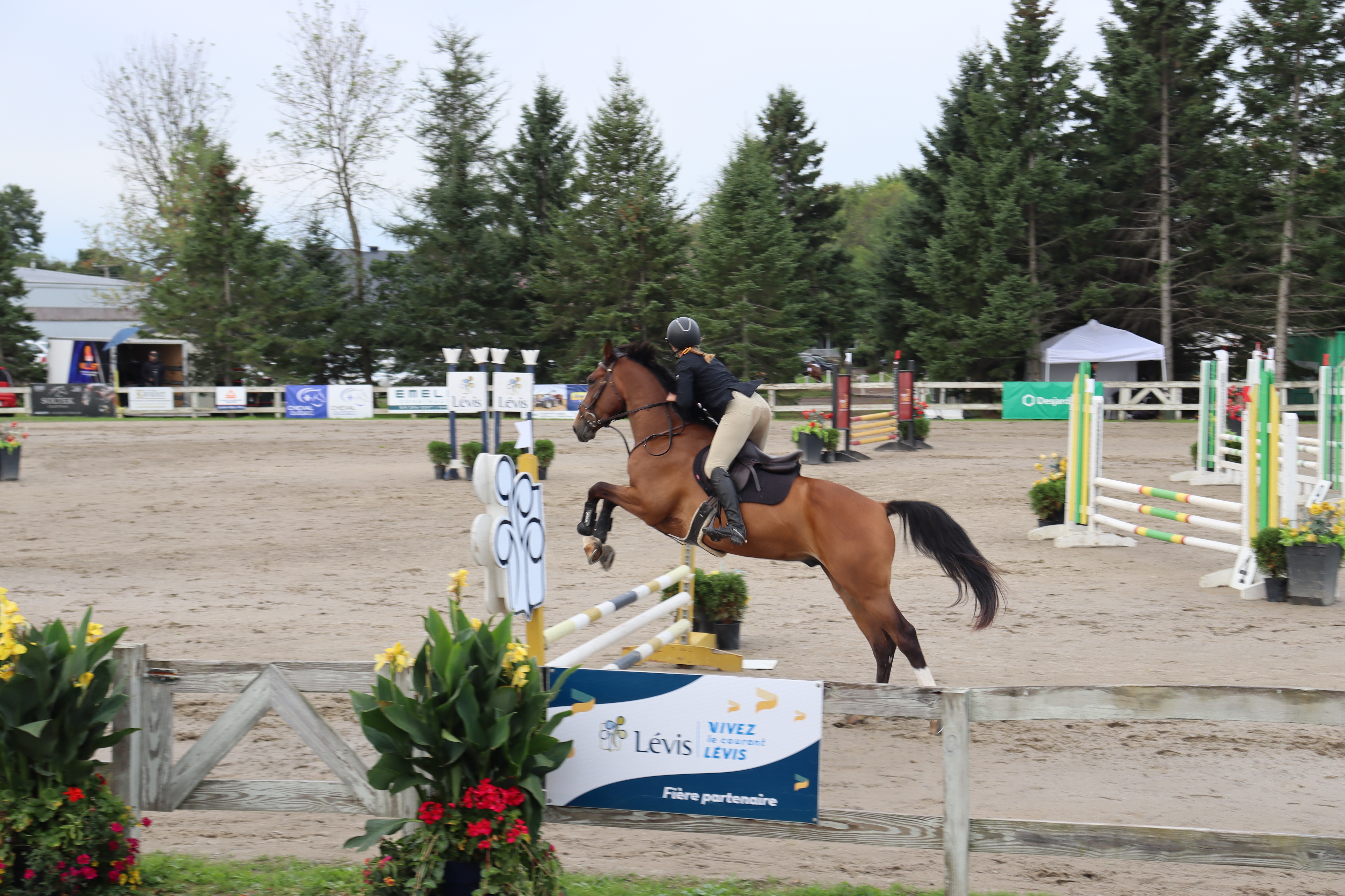 Succès renouvelé pour la 47e édition du Concours hippique de Lévis