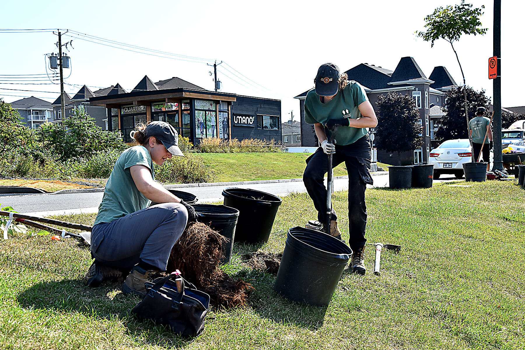 Lévis, Ville branchée se conclut avec plus de 700 arbres plantés