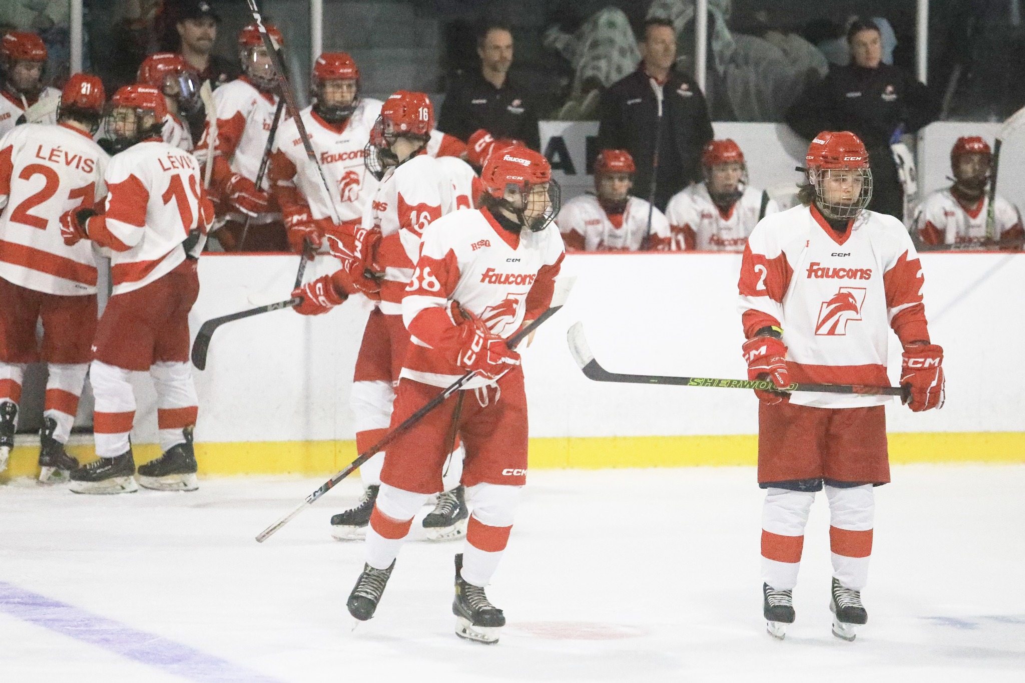 Match à oublier pour les Faucons