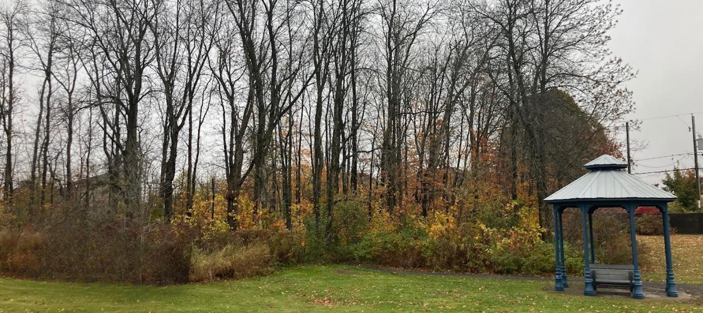 Travaux d’abattage d’arbres au parc du Faubourg du Golf