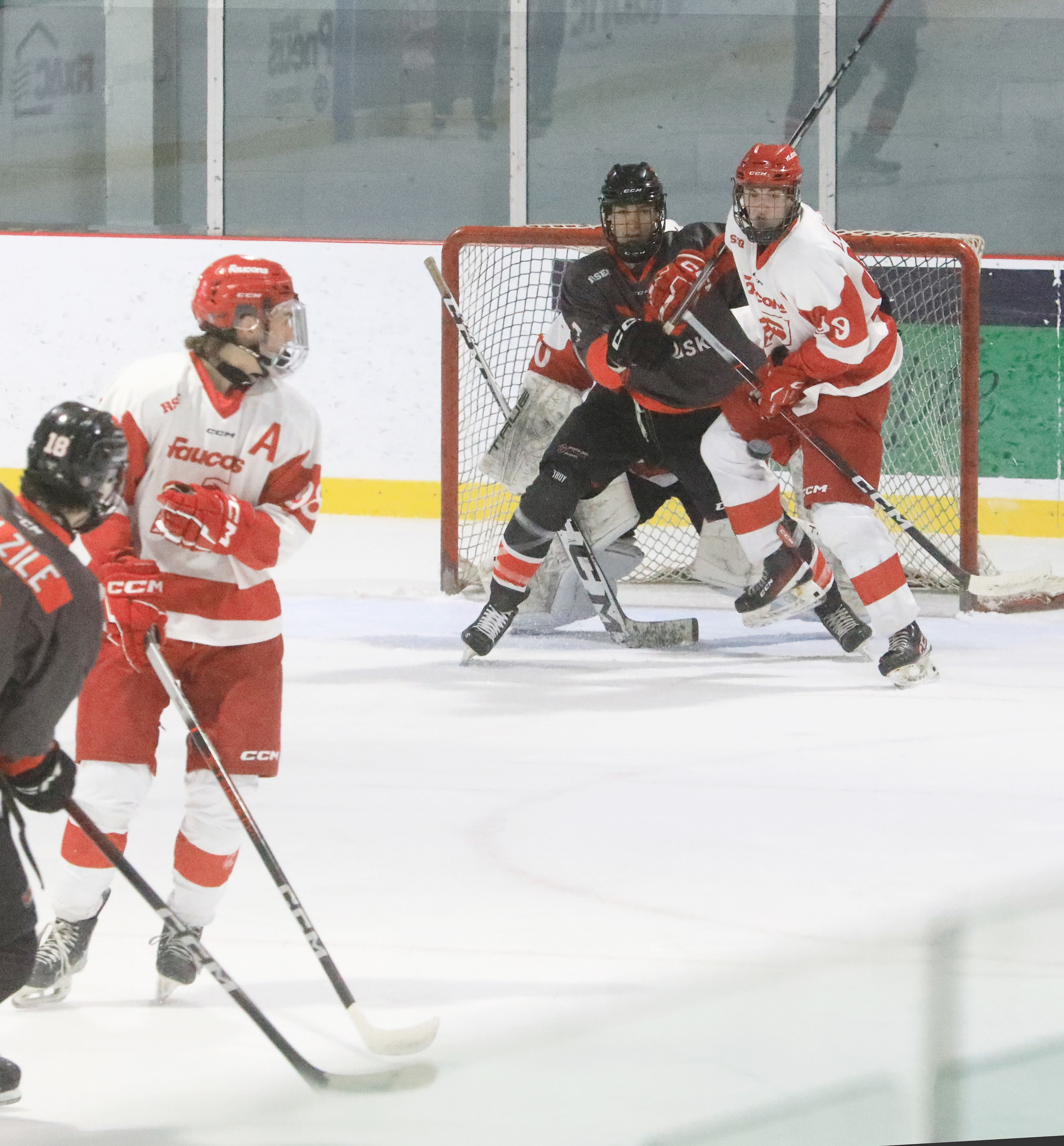 Les Faucons poursuivent sur leur élan 
