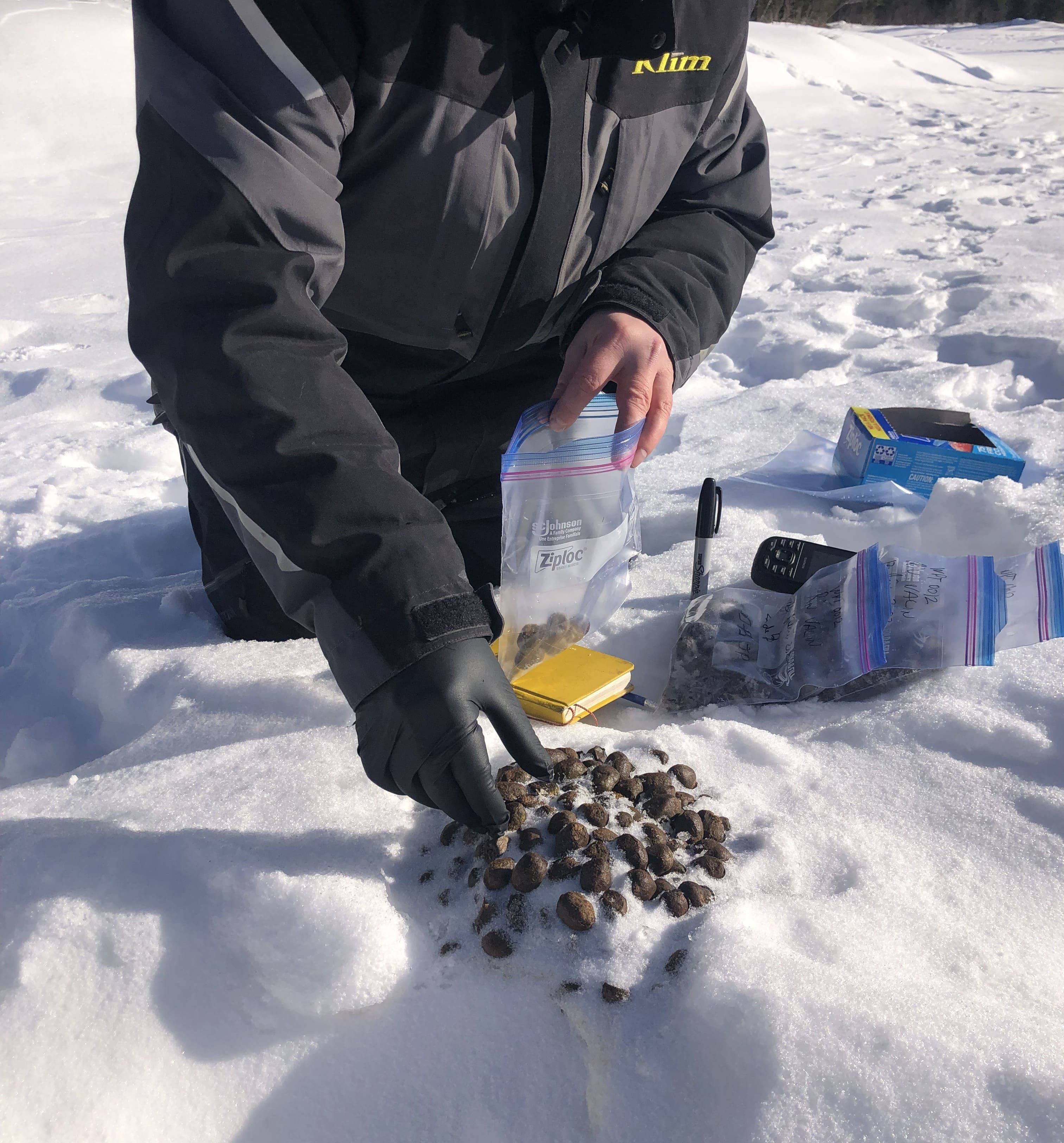 Les citoyens au service de la science