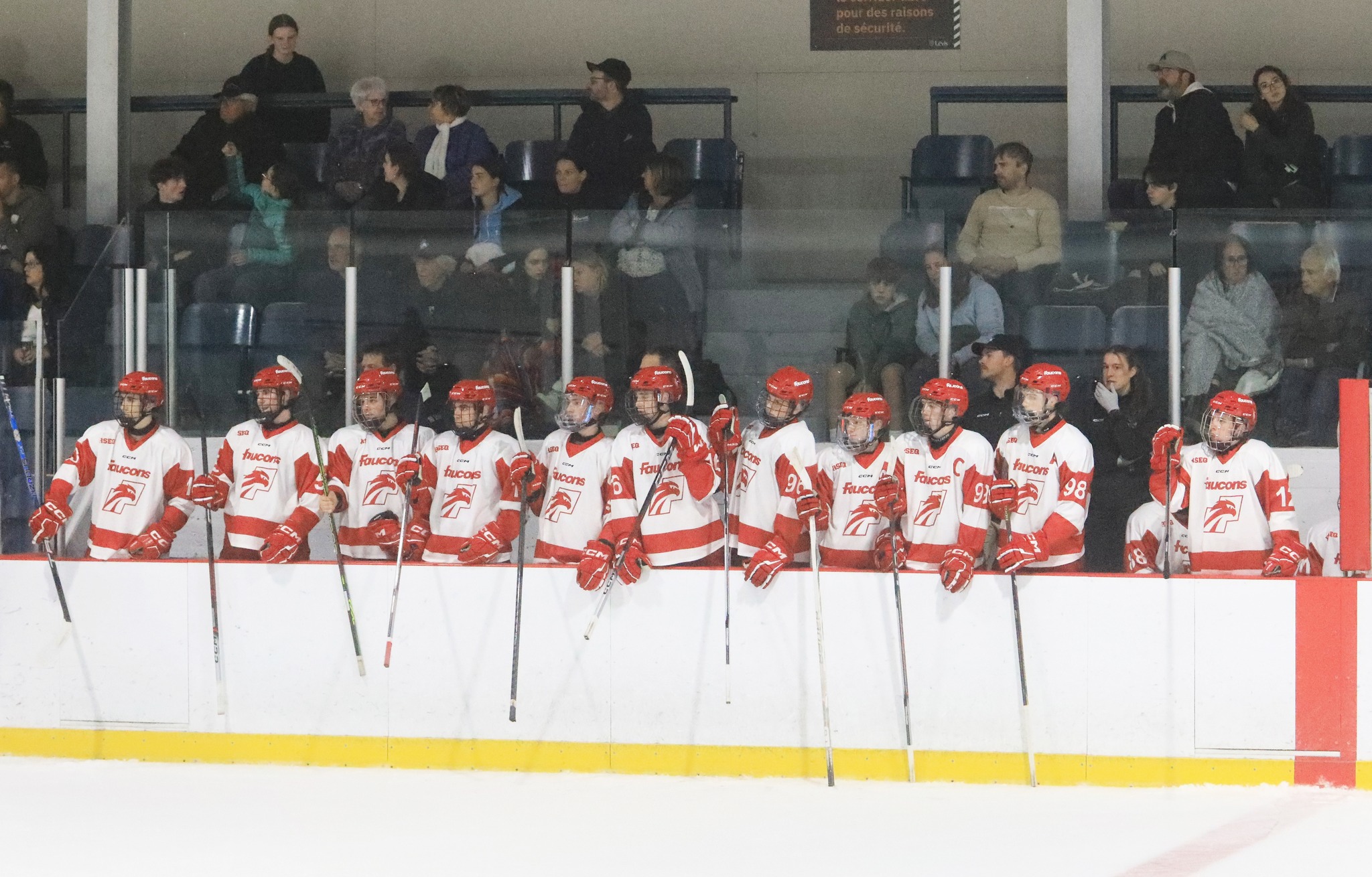 Les Faucons subissent deux revers 