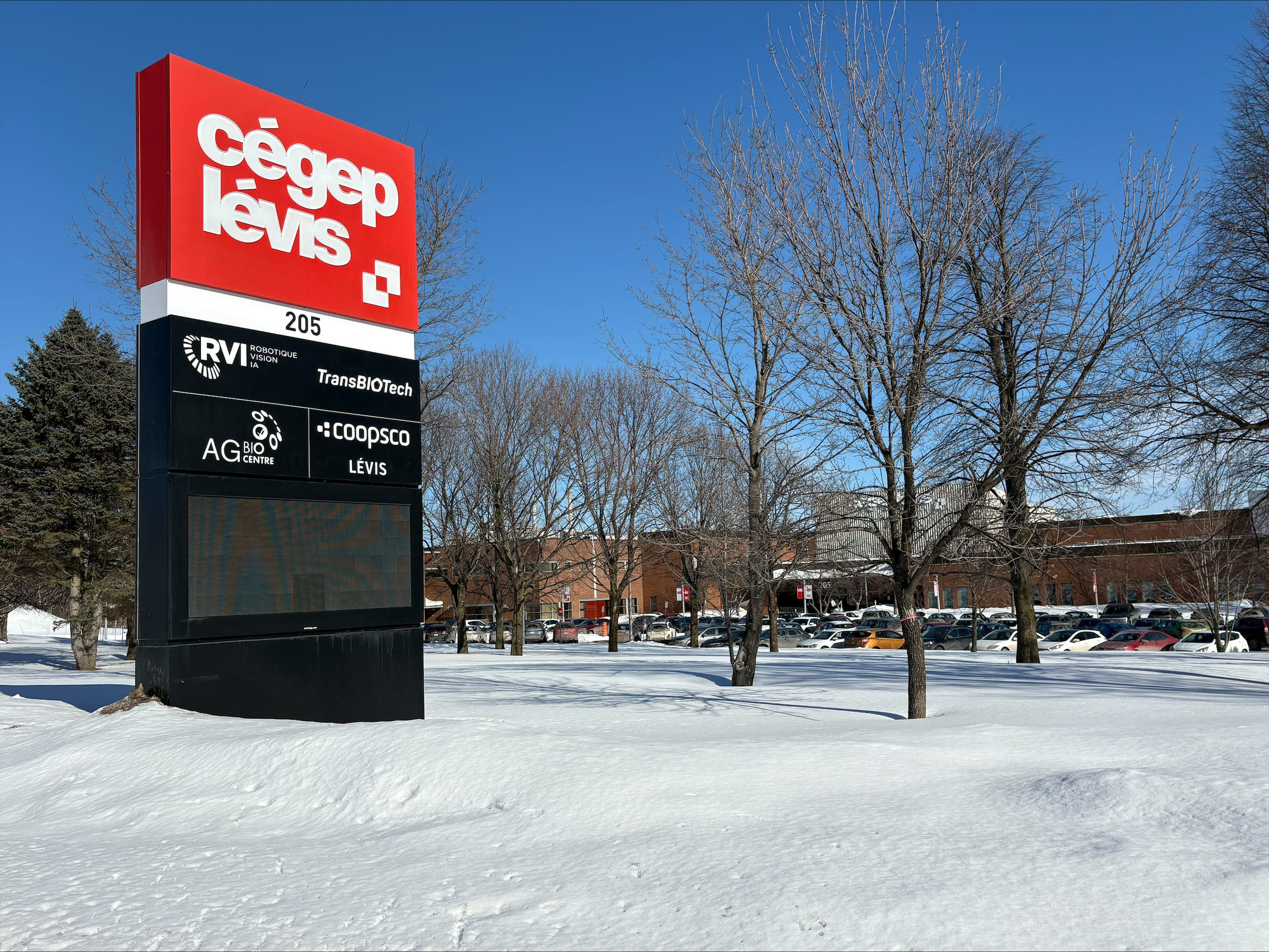 Le Mois de l’histoire des Noirs porté par les étudiants lévisiens