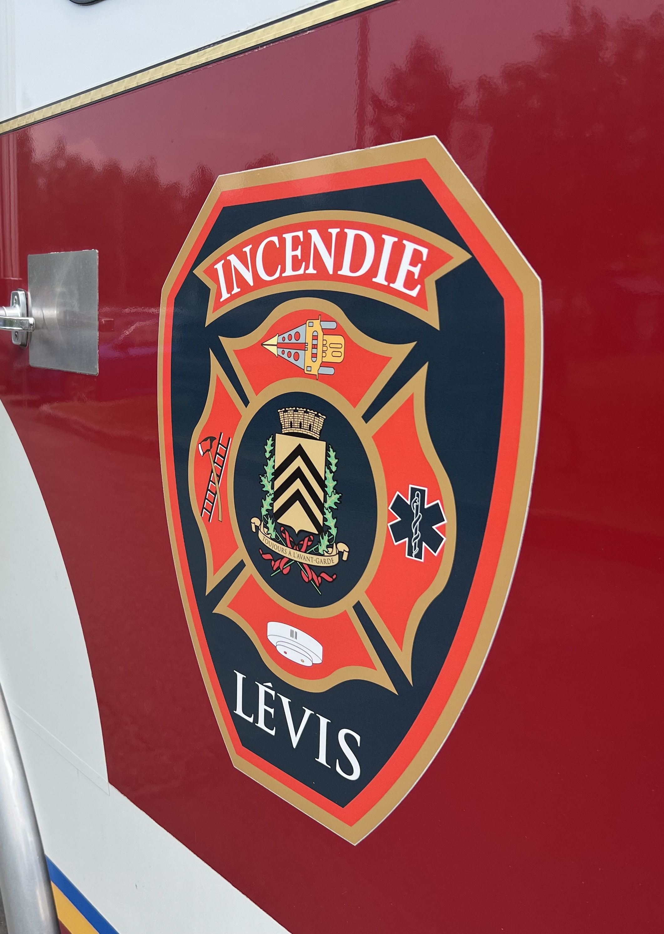 Des chevaux coincés dans la rivière Beaurivage