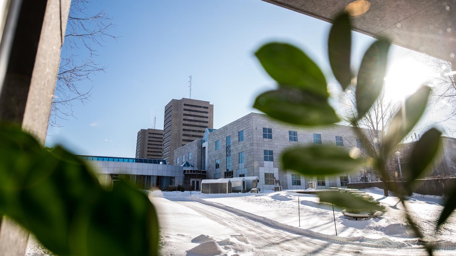 Le Québec, une force d’attraction?