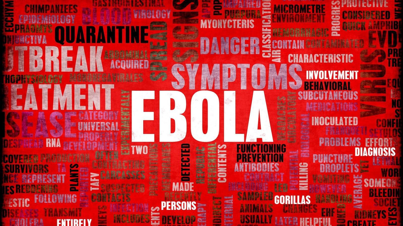 Hantavirus, Ebola et politique
