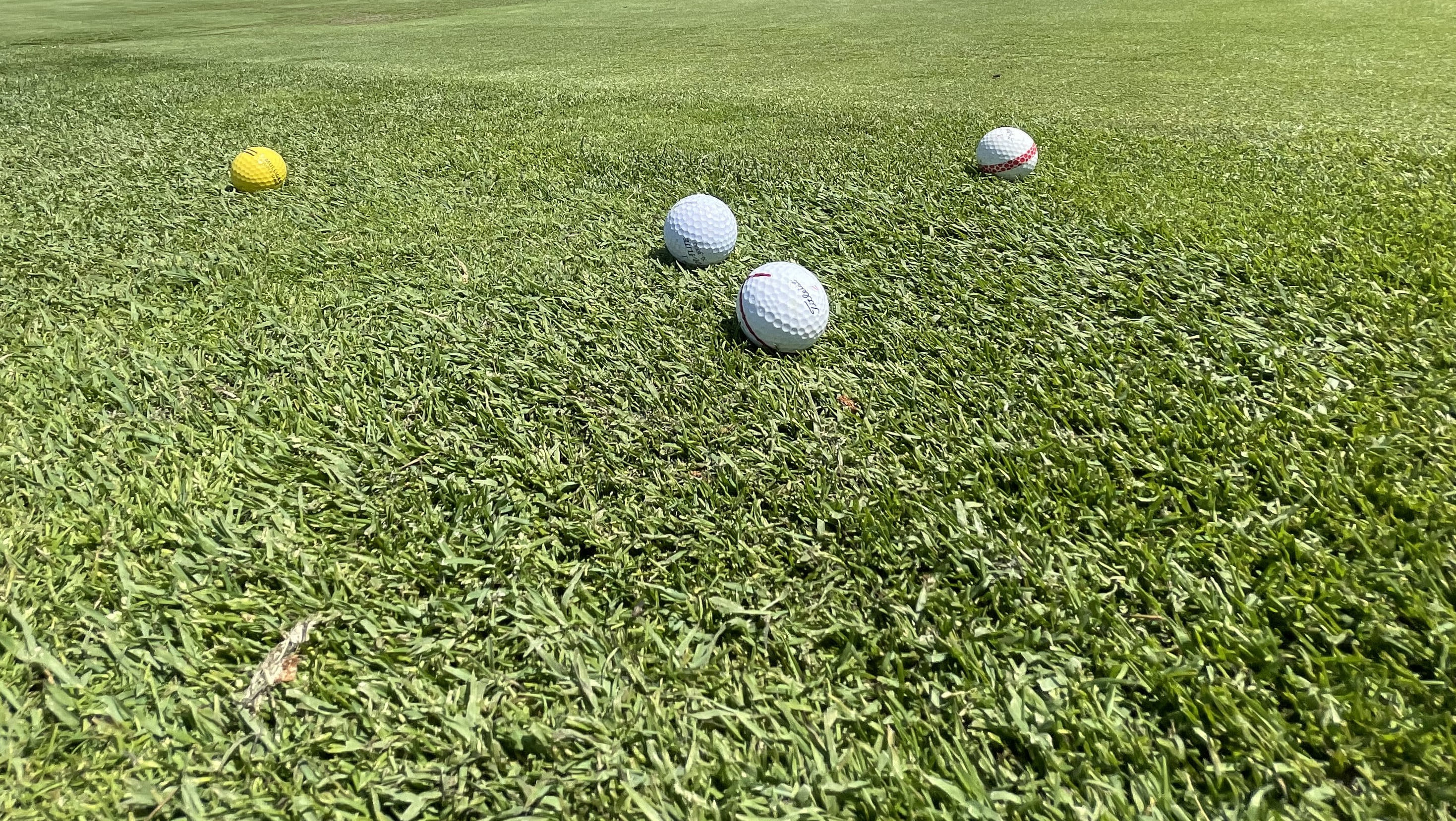 Le grand retour du golf au Cégep de Lévis