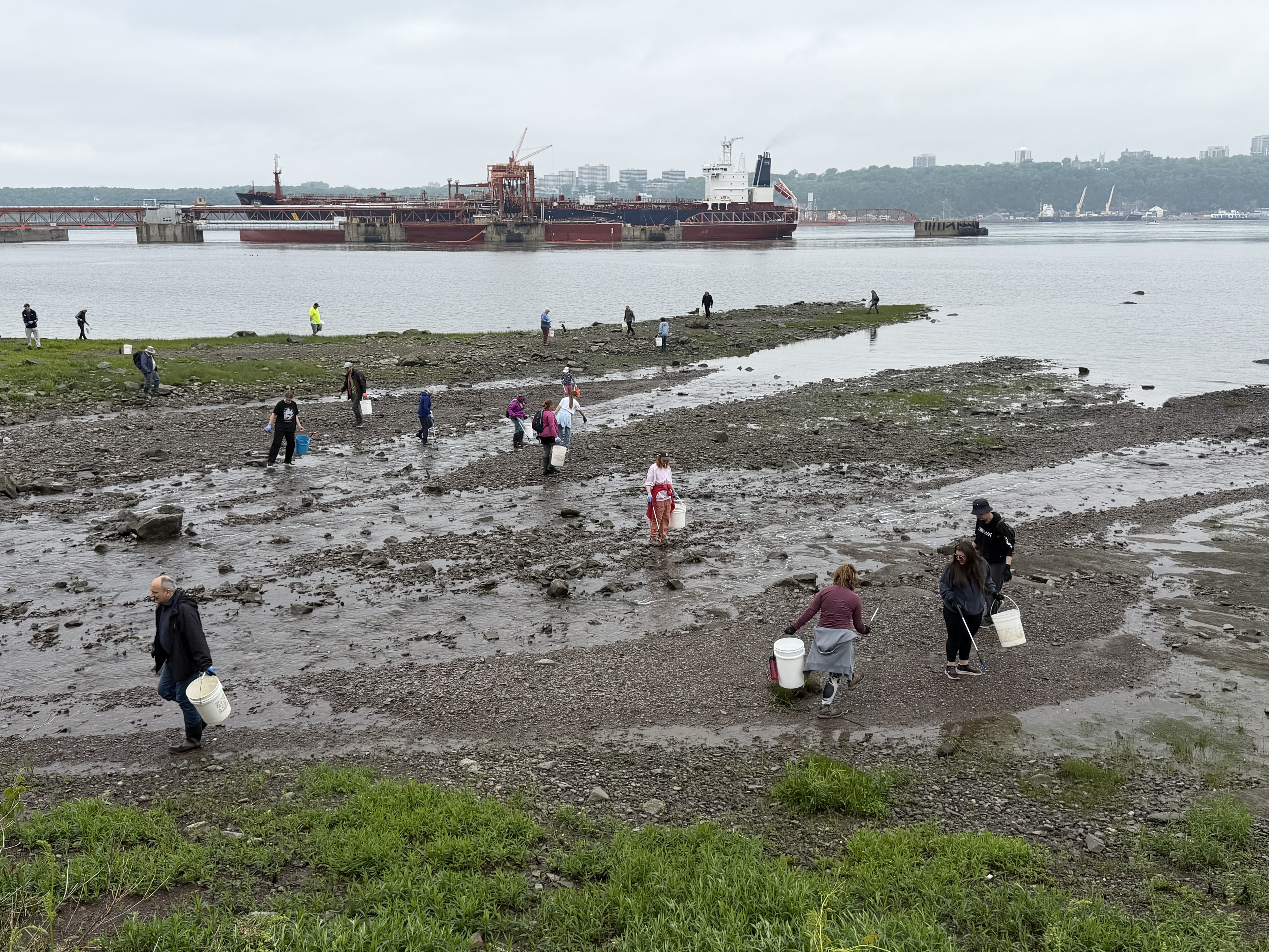 «Bilan positif» pour la 16e activité de nettoyage des berges 