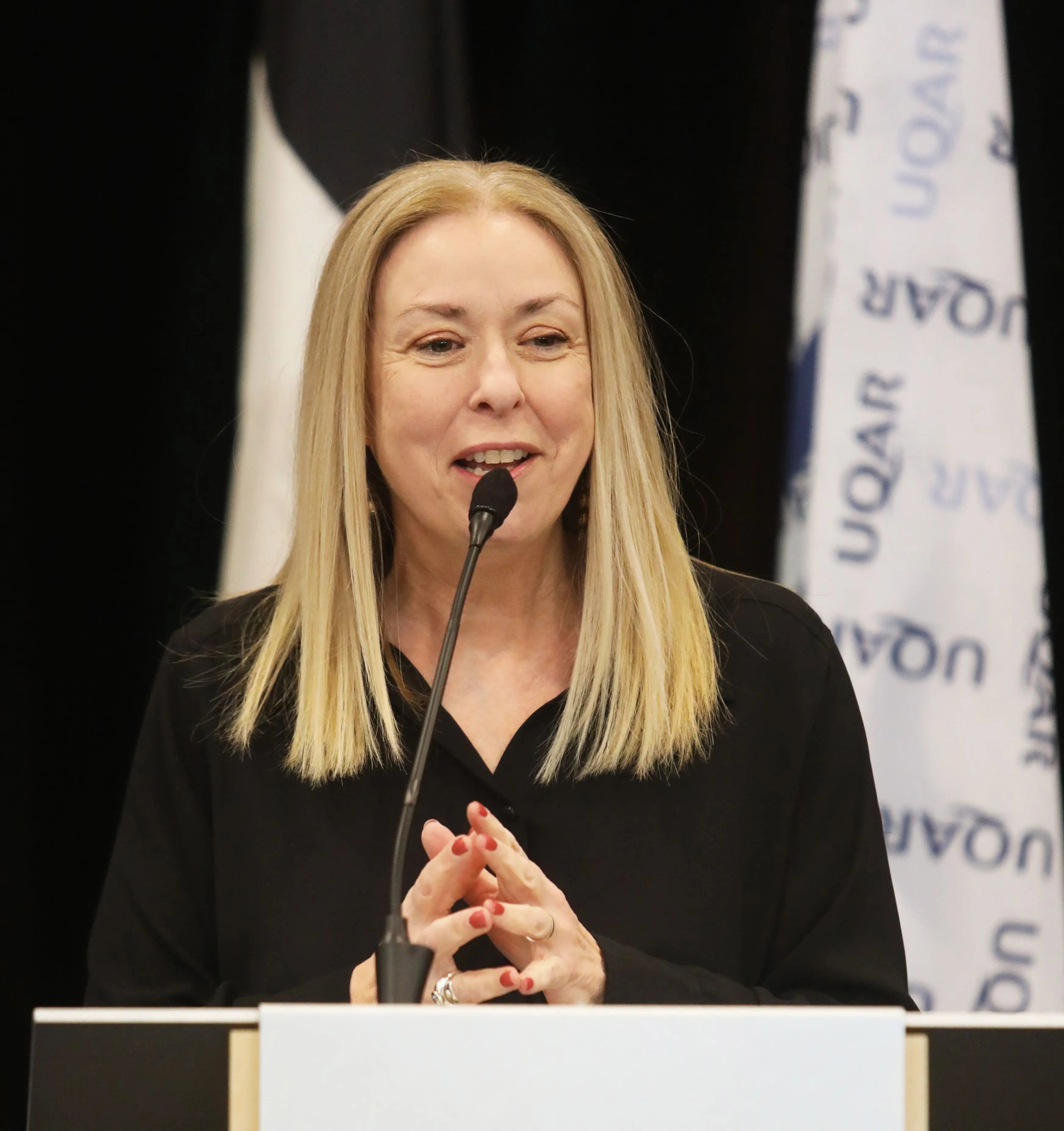 Dominique Vien refuse le Cabinet fantôme de Pierre Poilievre pour se concentrer sur la condition féminine