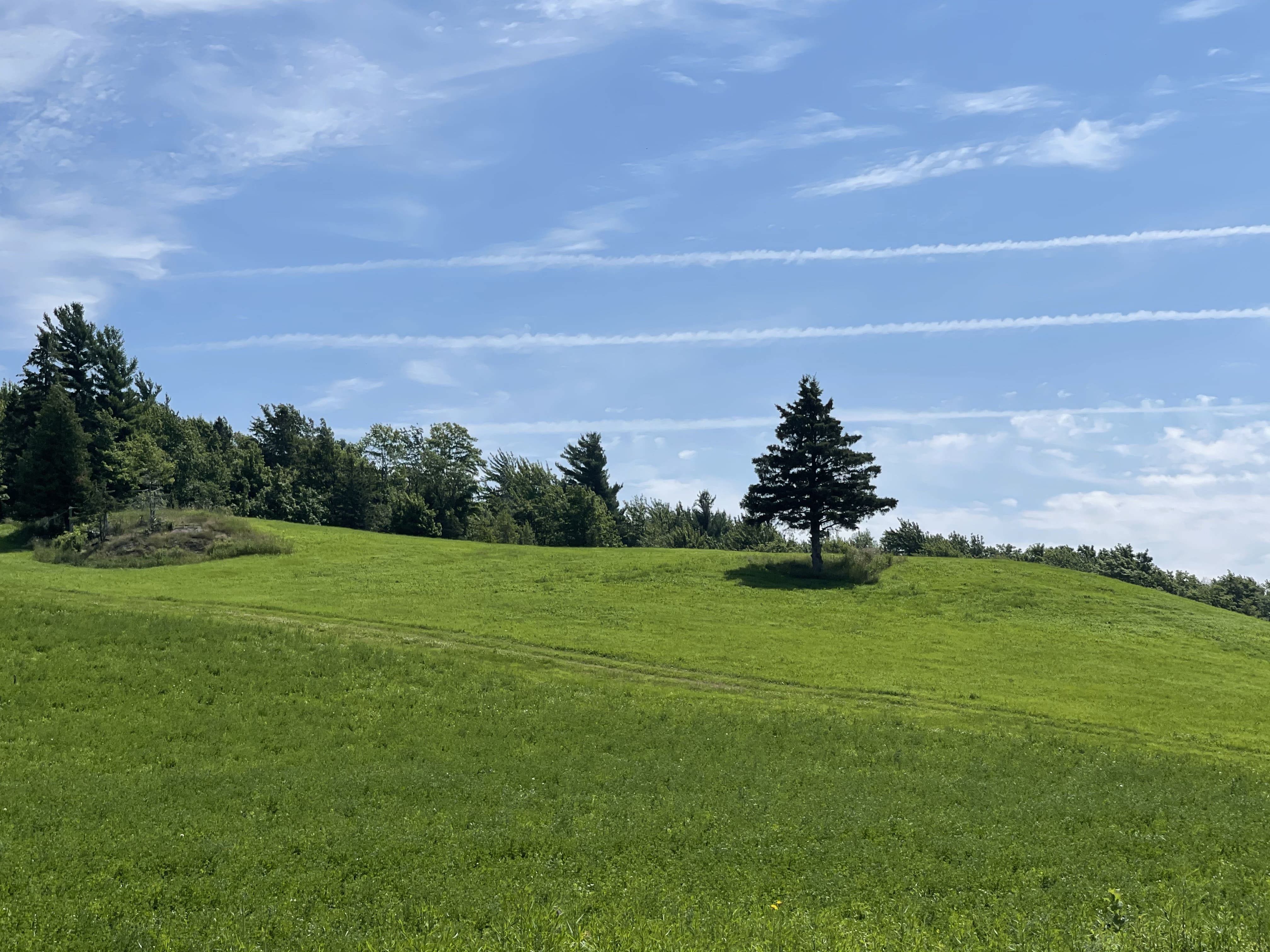 La réalité virtuelle au service des paysages