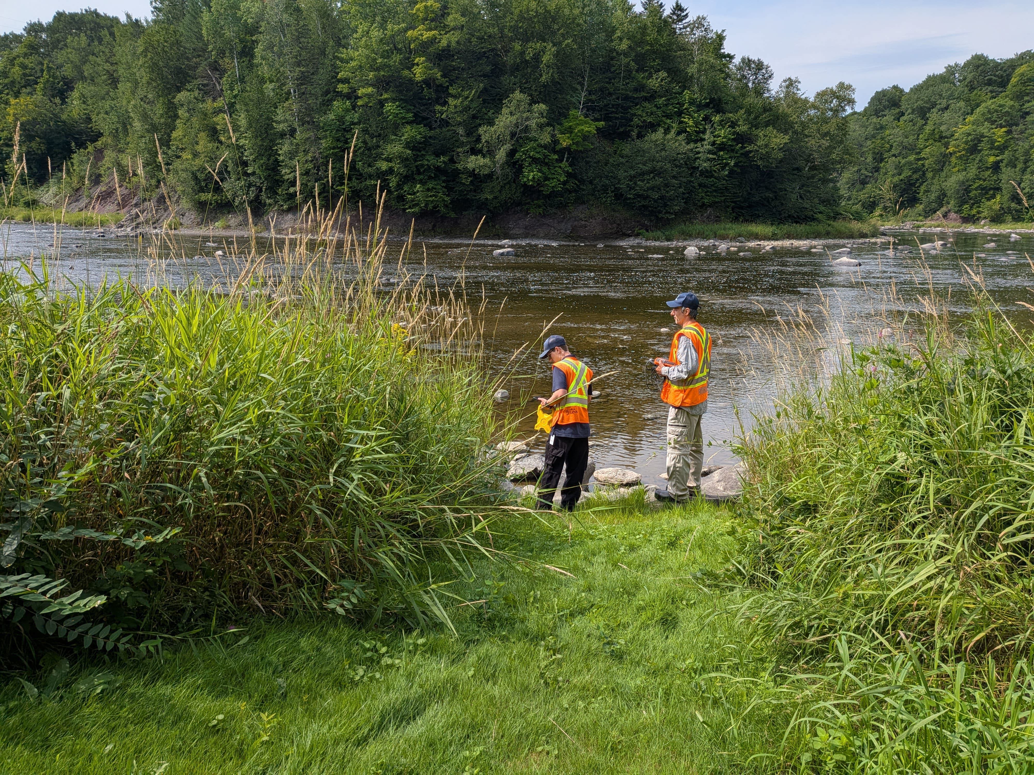 Lévis poursuit la caractérisation de ses berges