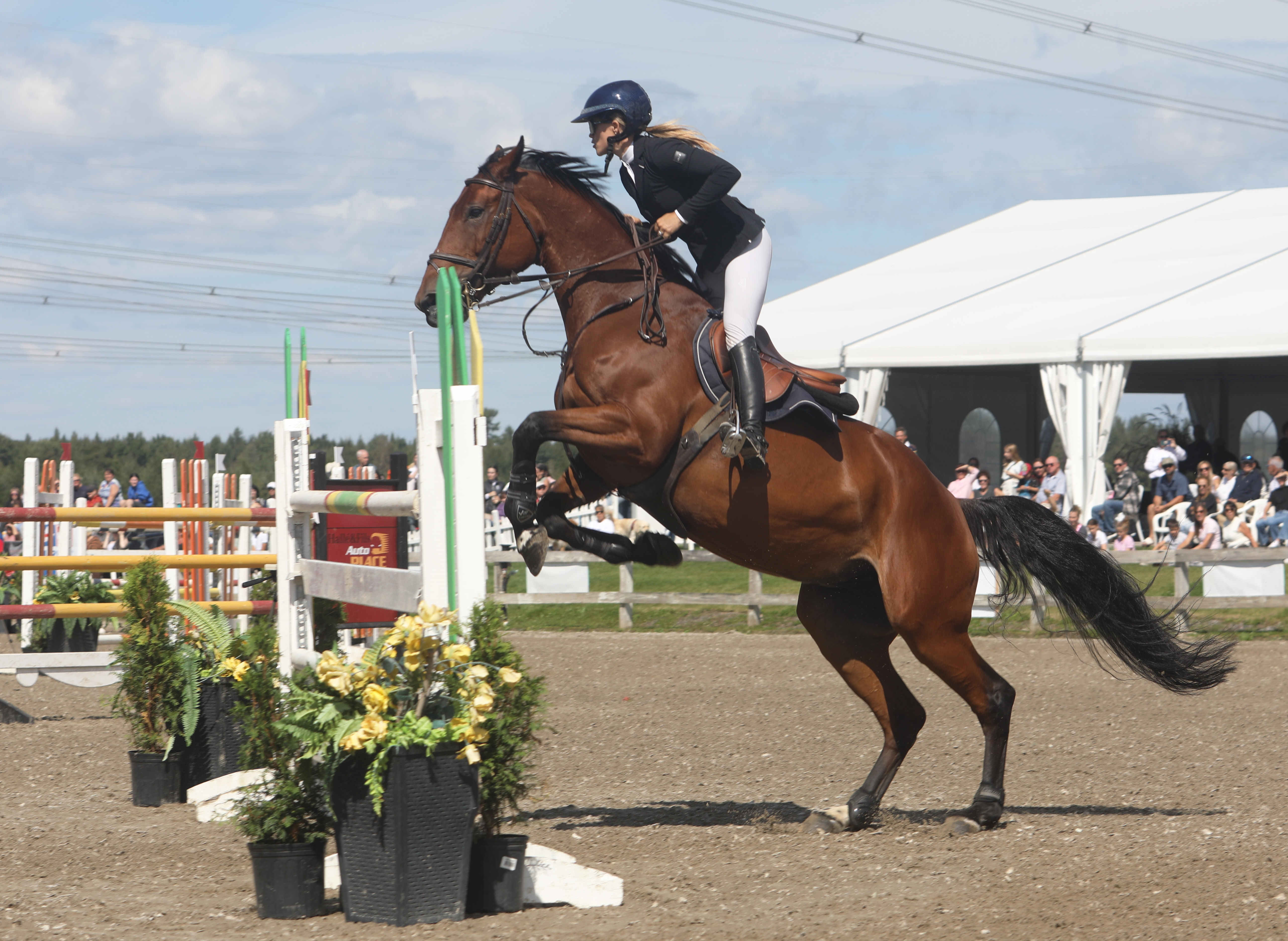 Le Concours hippique de Lévis couronne ses gagnants pour sa 48e édition
